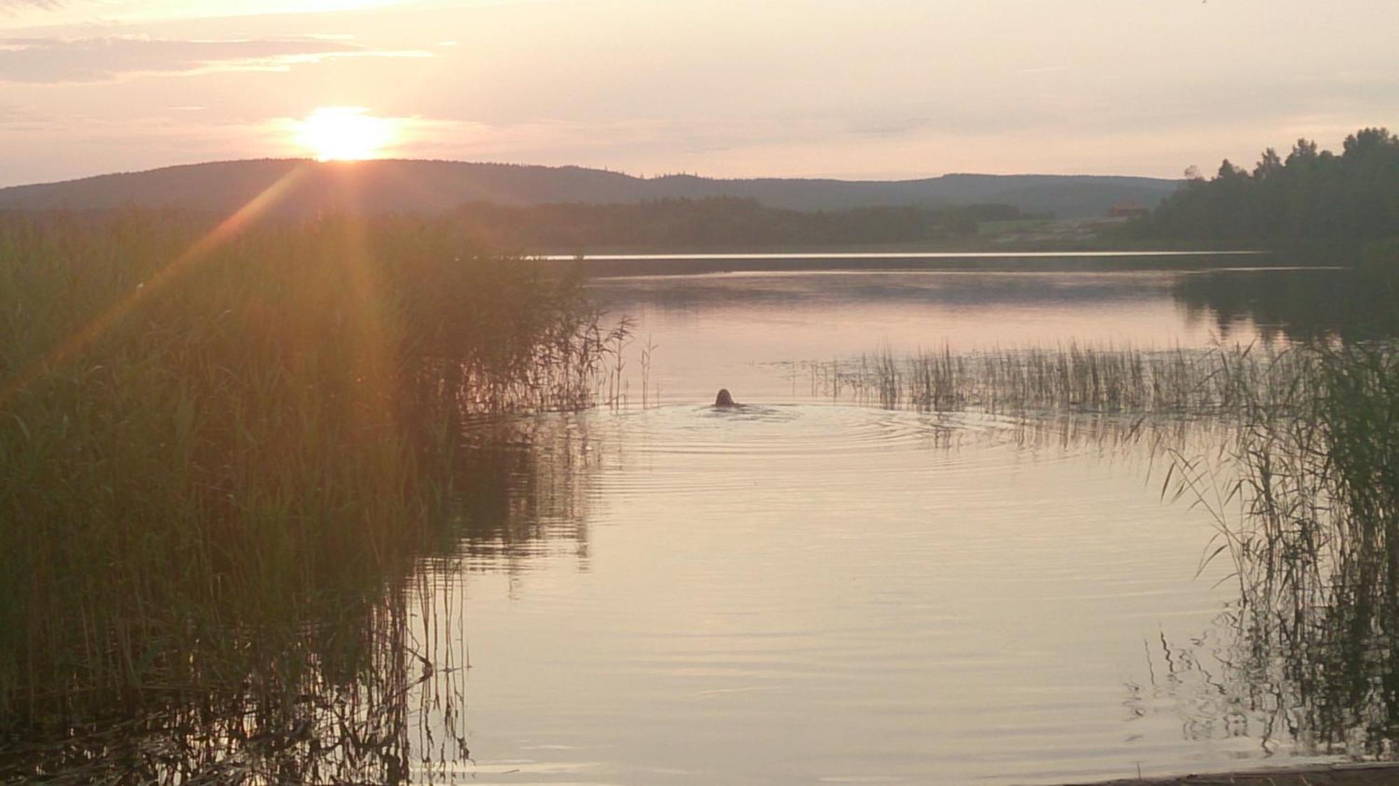 Roeda Stugan Hedemora Esterno foto